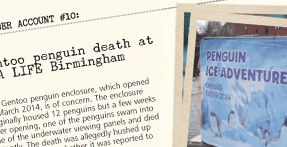 Insider account #10: Alleged Gentoo penguin death at SEA LIFE Birmingham
